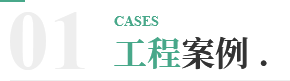 cases